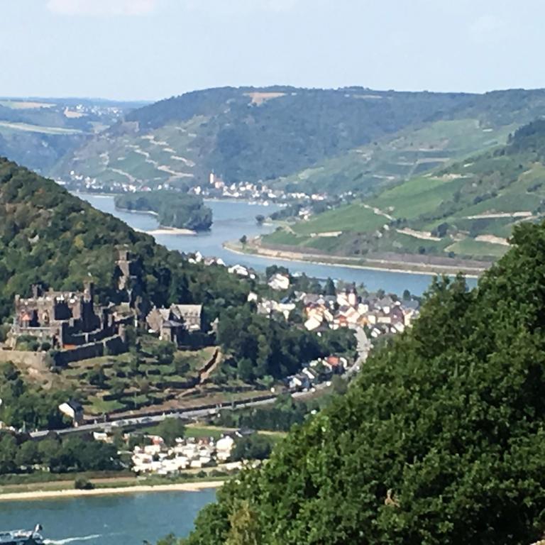 Landgasthof Germania Rüdesheim am Rhein Eksteriør bilde